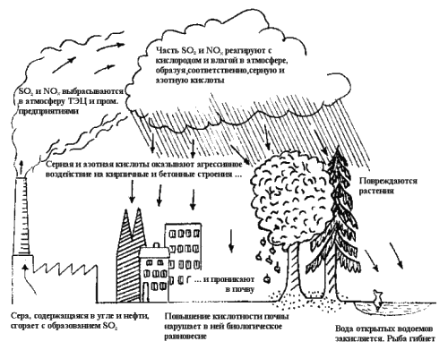 Кислотные дожди