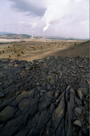 кислотные дожди эрозия почвы